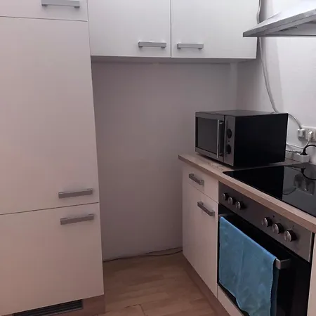 Schoene Mit Parkplatz Im Zentrum Von Apartment Linz