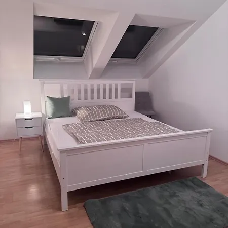 Schoene Mit Parkplatz Im Zentrum Von Apartment Linz