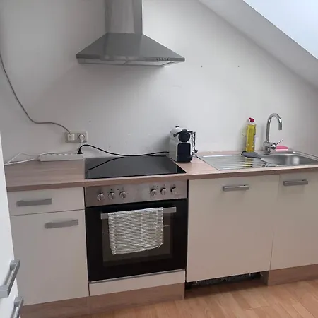 Apartment Schoene Mit Parkplatz Im Zentrum Von Linz