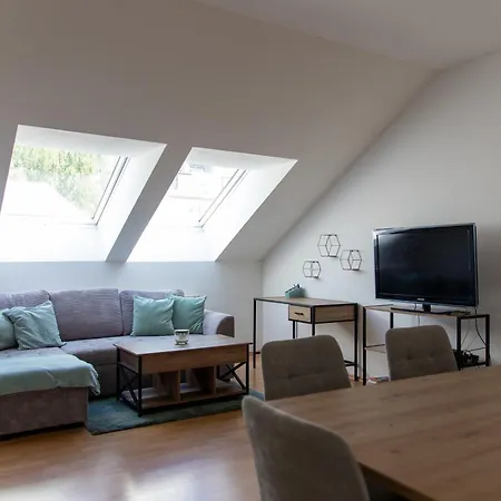 Schoene Mit Parkplatz Im Zentrum Von Apartment Linz