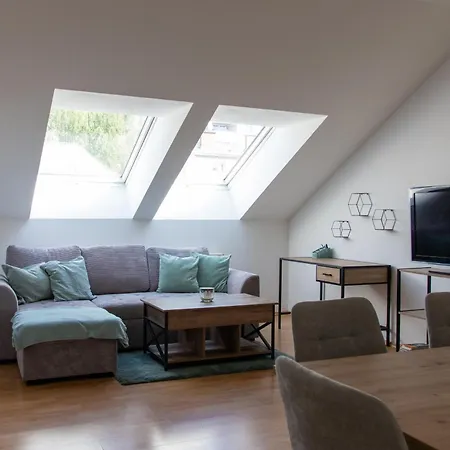 Apartment Schoene Mit Parkplatz Im Zentrum Von Linz
